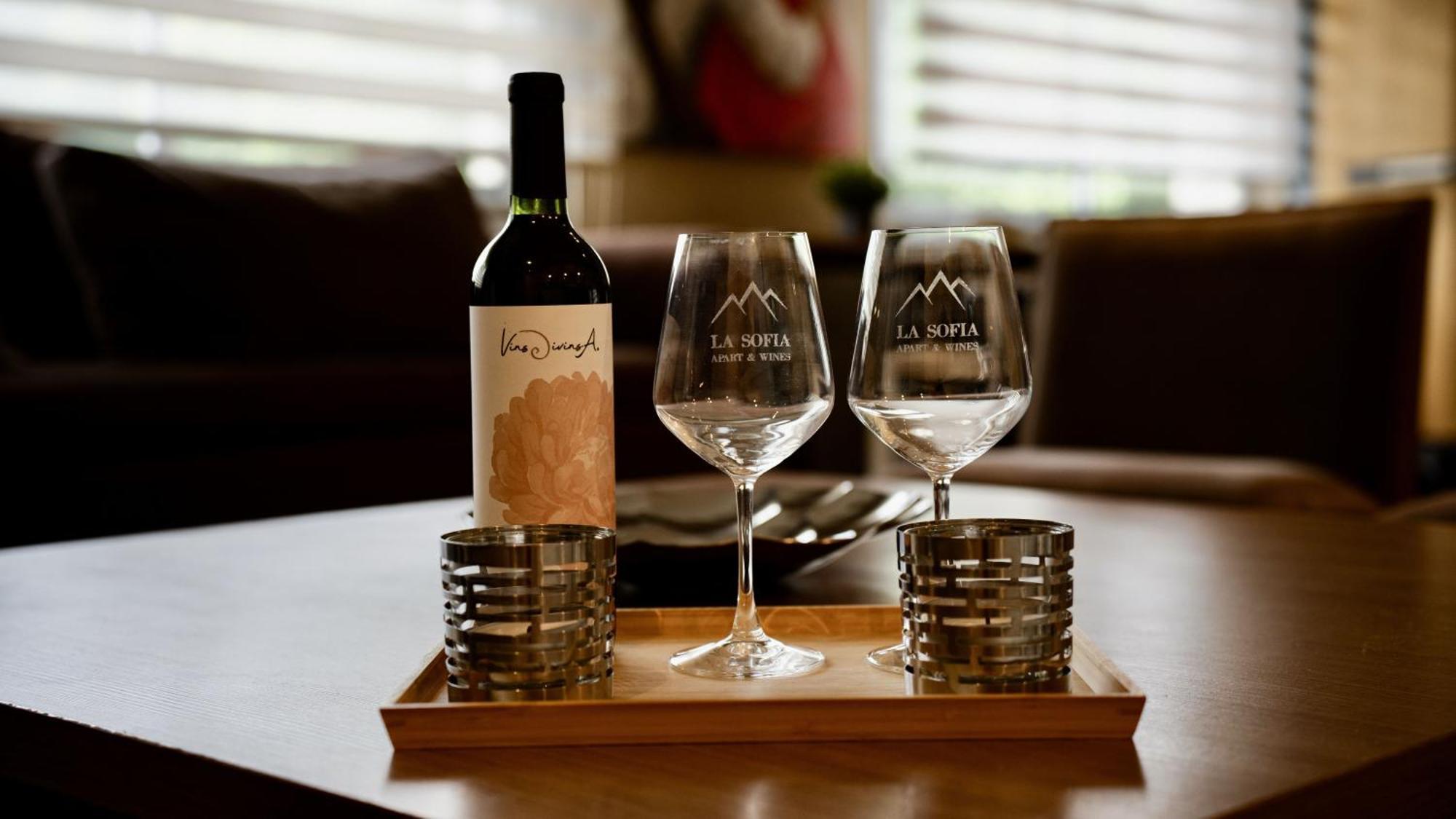 La Sofia Apart & Wines Mendoza Kültér fotó