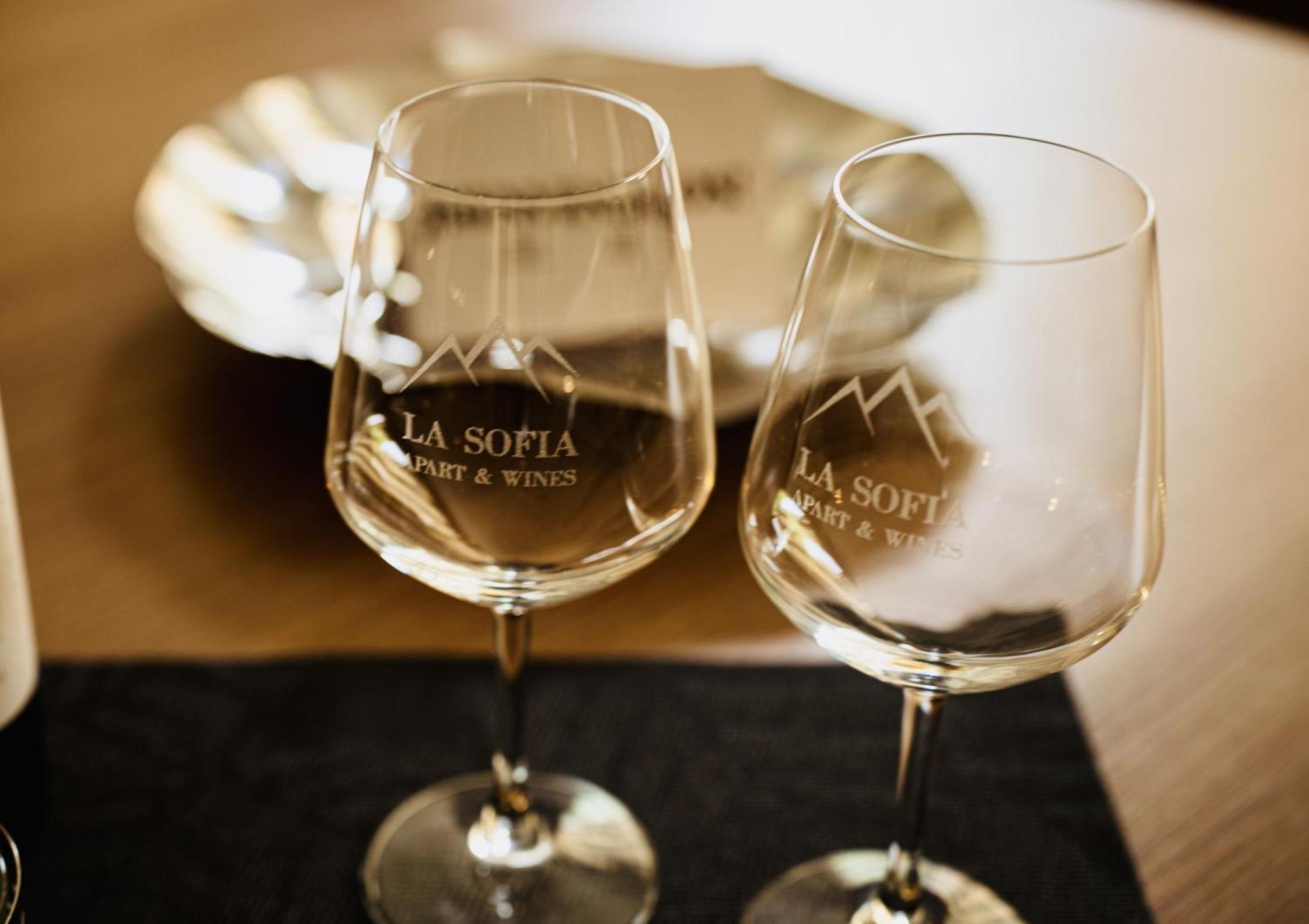 La Sofia Apart & Wines Mendoza Kültér fotó